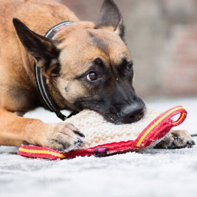 Einen Gegenstand fallen lassen