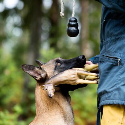 Aufgezeichneter Vortrag: Falsch - der magische Weg zum Recht
