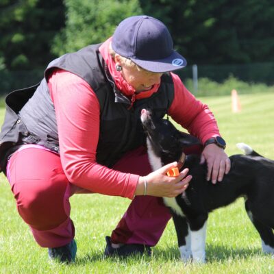 No Limits Welpentraining Jahr