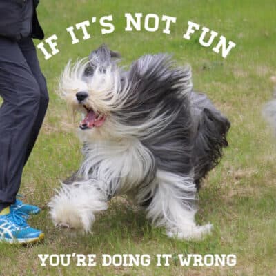 Aufgezeichneter Vortrag: Belohnungen - Der Weg zur Hölle oder nicht