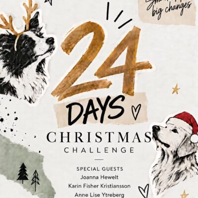 Dezember-Challenge